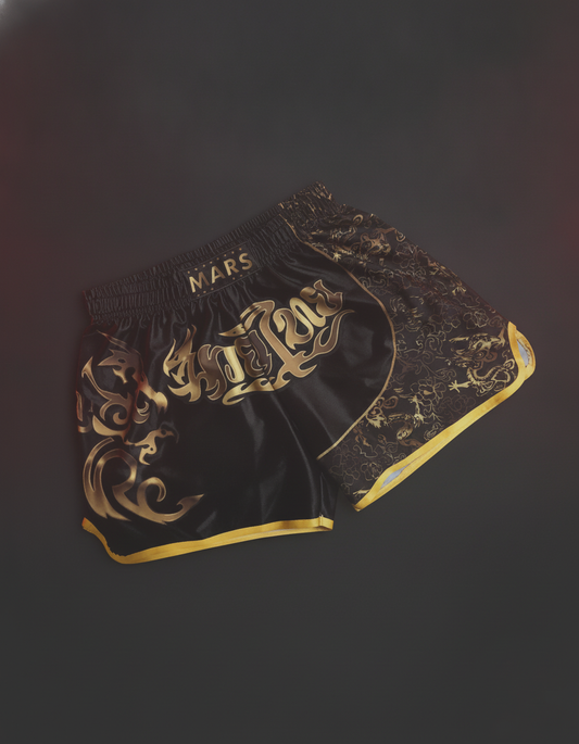 Short Muay Thaï Legend Fight